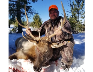 Sns Outfitters Bull Elk 2018 9